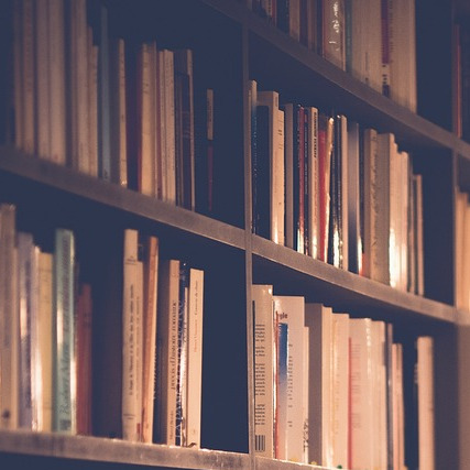 pastor counseling study